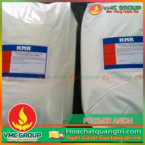 POLYMER ANION XỬ LÝ NƯỚC – A1110 ANH VH - HCQT