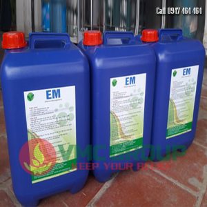 CHẾ PHẨM MEN VI SINH EM GỐC - HCQT