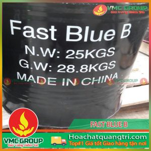 THÁI THANH LAM - FAST BLUE BGS - HCVMQT